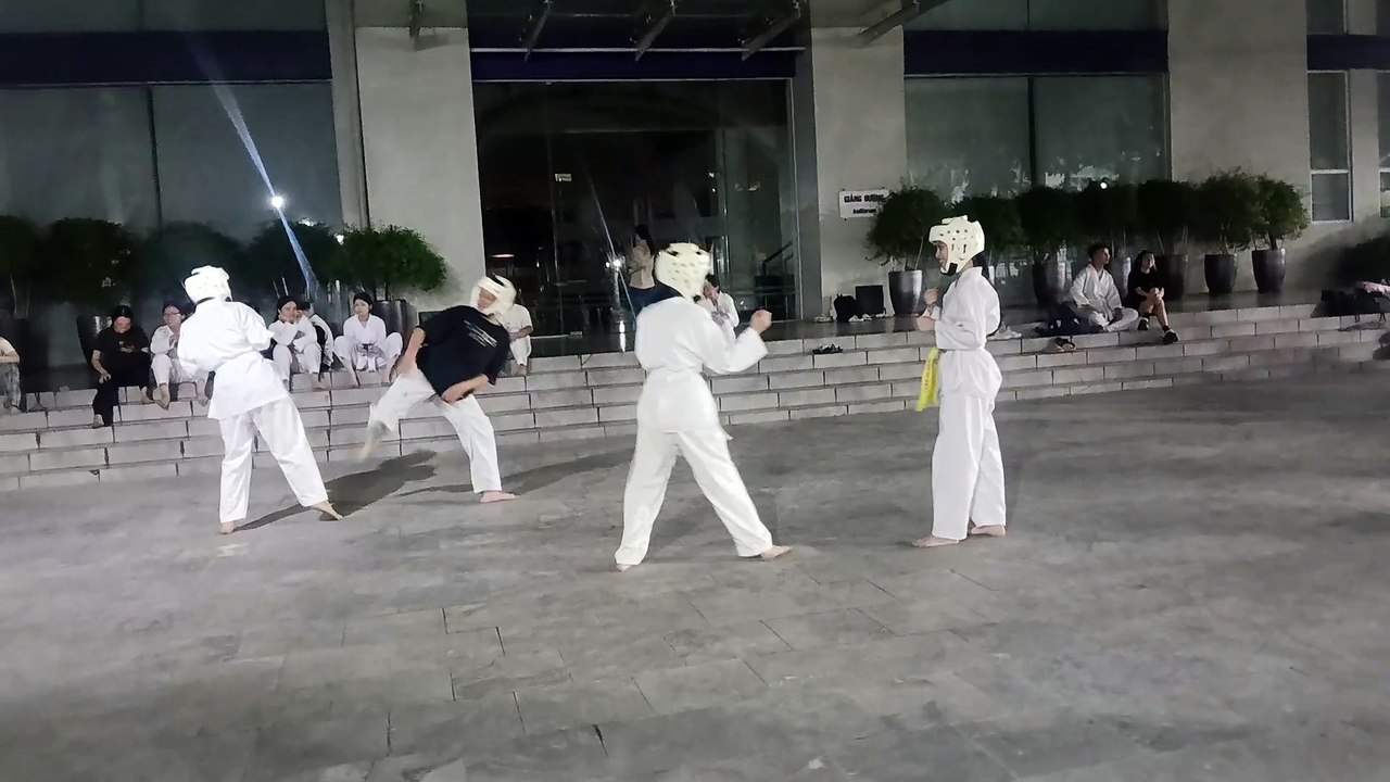 Taekwondo, tkd 20240930_195932