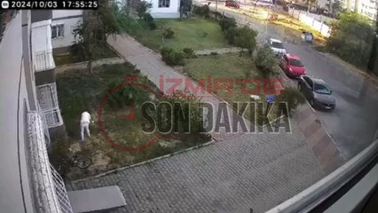 İzmir Çiğli'de utanç verici hareket! Anne kedinin suyuyla çöp kutusunu yıkadı