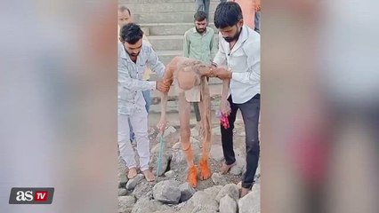 Descargar video: 110-year-old man found in Indian cave in astonishing condition breaks the Internet