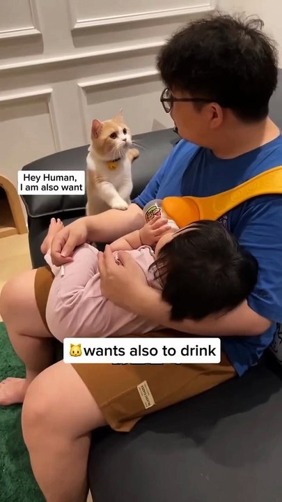 Baby & Cat