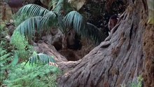 Tierra de Gigantes, 02x16, Pesadilla