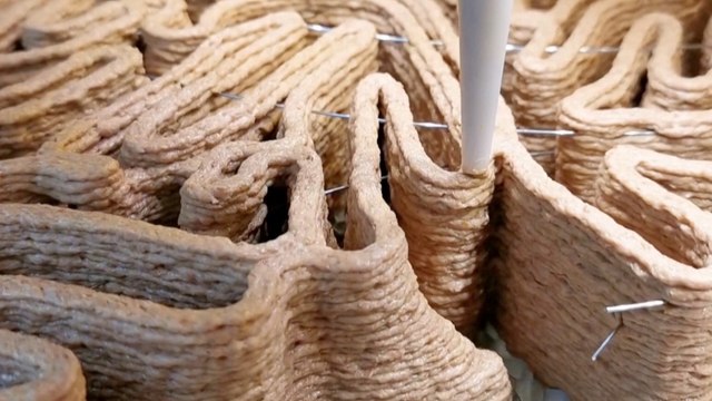 These Sustainable Buildings Got Their Inspiration From Termites?