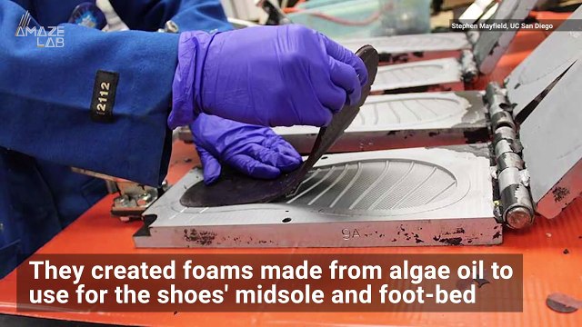 Flip-Flops of the Future! Algae-Based Shoes for the Win