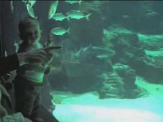 Aquarium de Montpellier