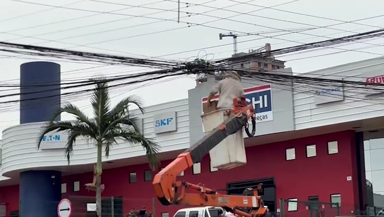 Defesa Civil remove enxame de abelhas na fiação elétrica da Rua Erechim