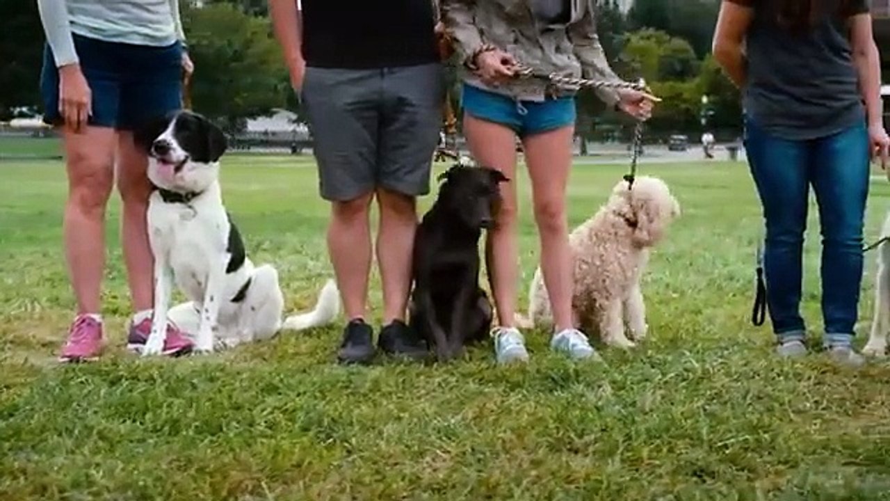 Entrenando a tu Esposo_ _ Pelicula Completa