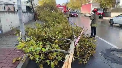 İstanbul-Avcılar’da fırtına nedeniyle binanın çatısı uçtu