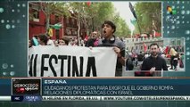 Culminan protestas en España en defensa del derecho del pueblo de Palestina