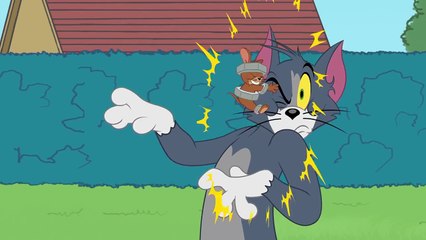 Tom and Jerry The Ultimate Cat Showdown