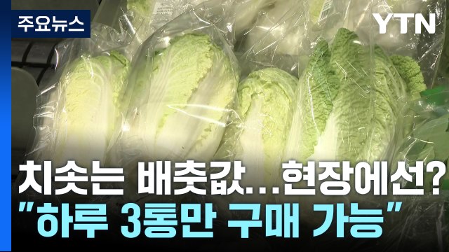 3포기만 살 수 있습니다 ...배추 보릿고개 넘는 마트 풍경 / YTN