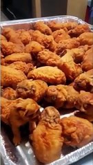 food  convert into animals