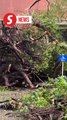 Typhoon Krathon's landfall leaves trail of heavy destruction