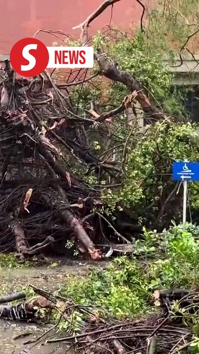 Typhoon Krathon's landfall leaves trail of heavy destruction