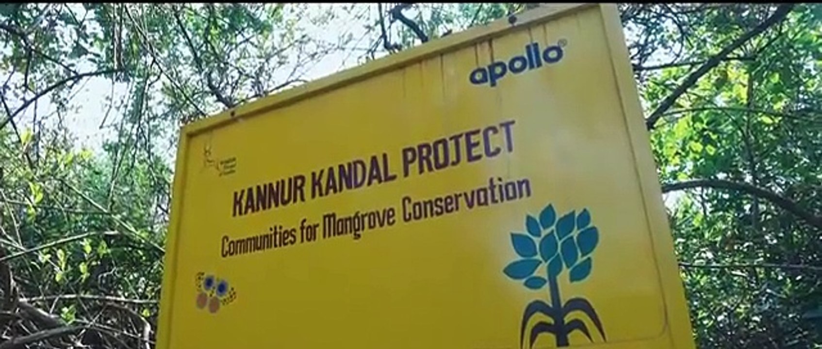 How Apollo Tyres Is Making a Global Impact on Biodiversity | Mangrove Conservation at Kerala