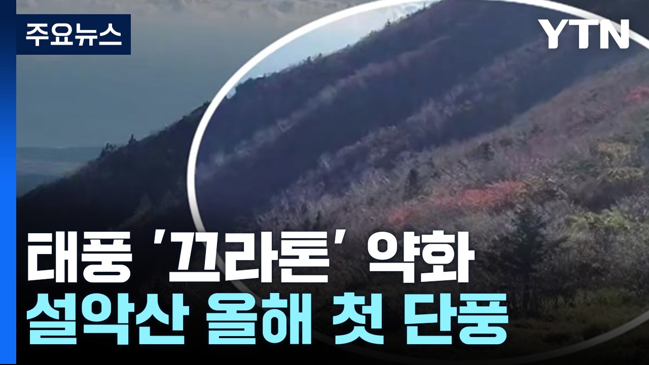 [날씨] 태풍 약화, 한반도 영향 없어...설악산 올해 첫 단풍 / YTN