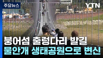 출렁다리 건너 옥정호 붕어섬 생태공원으로! / YTN