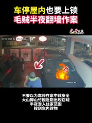 车内也要锁好！山脚山竹园半夜窃贼翻墙行窃🚗