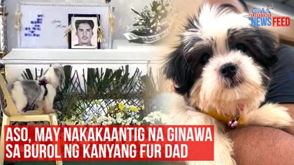Aso, may nakakaantig na ginawa sa burol ng kanyang fur dad | GMA Integrated Newsfeed
