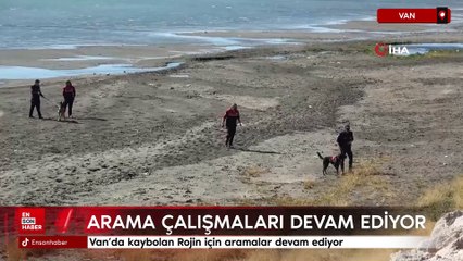 Van'da kaybolan Rojin için aramalar devam ediyor