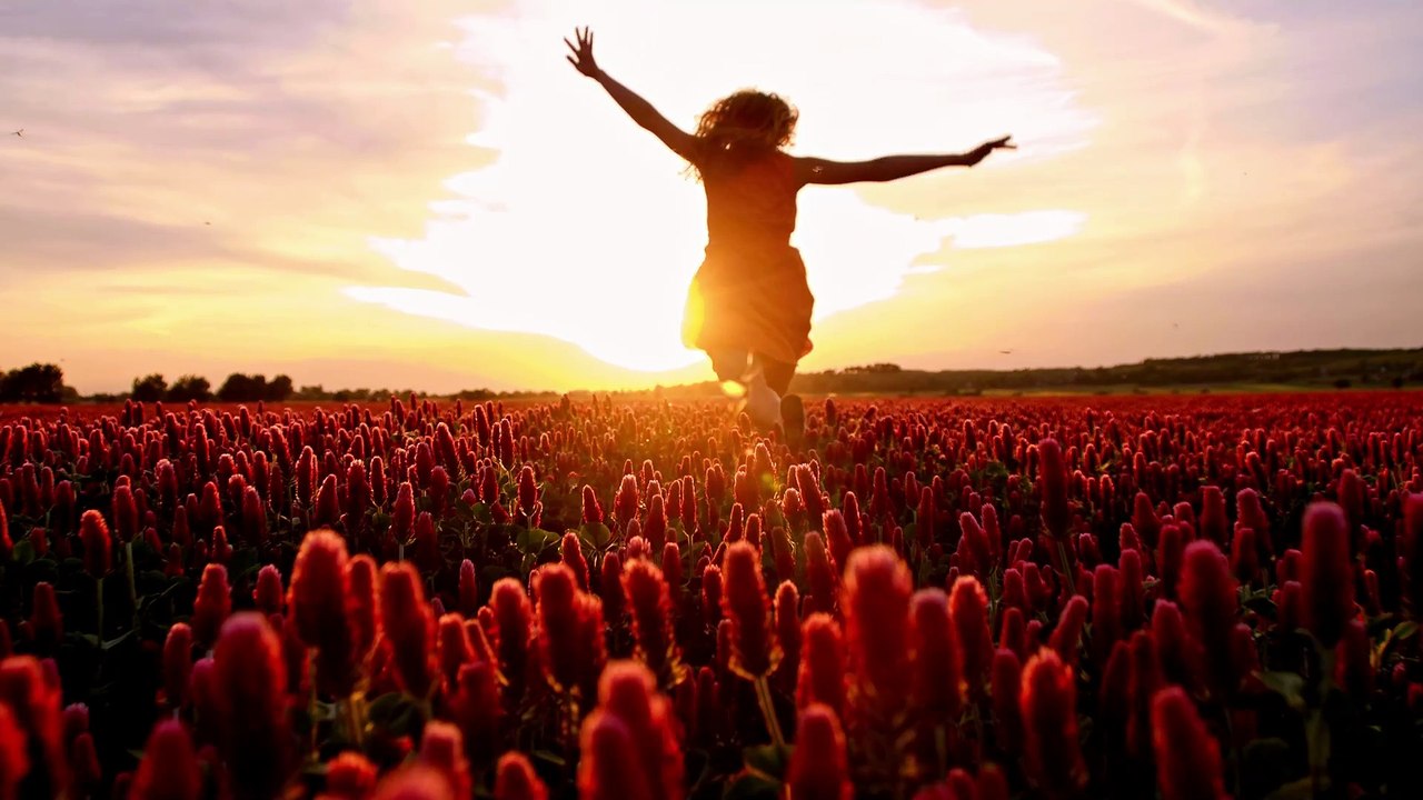 Enjoy the sound of longing for hope (Dream Mix) - Chaoskasi