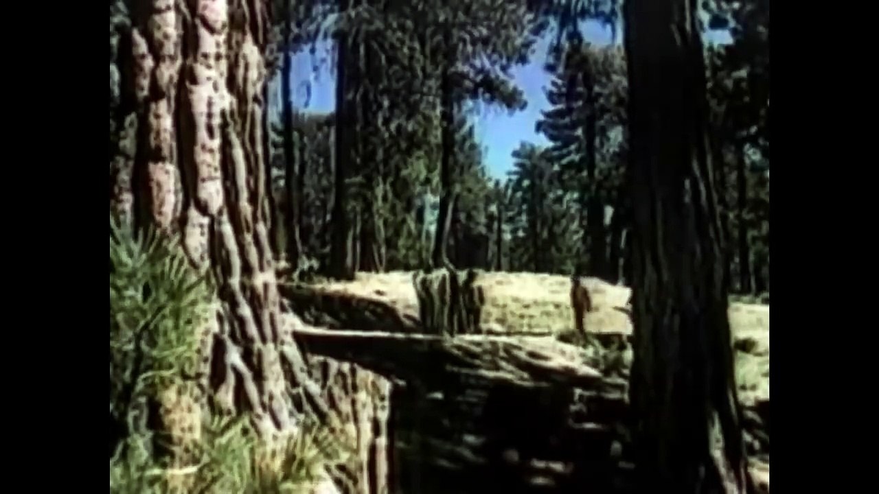 Brigada Negra ｜ Pelicula de Guerra Completa ｜ Richard Pryor ｜ Roosevelt