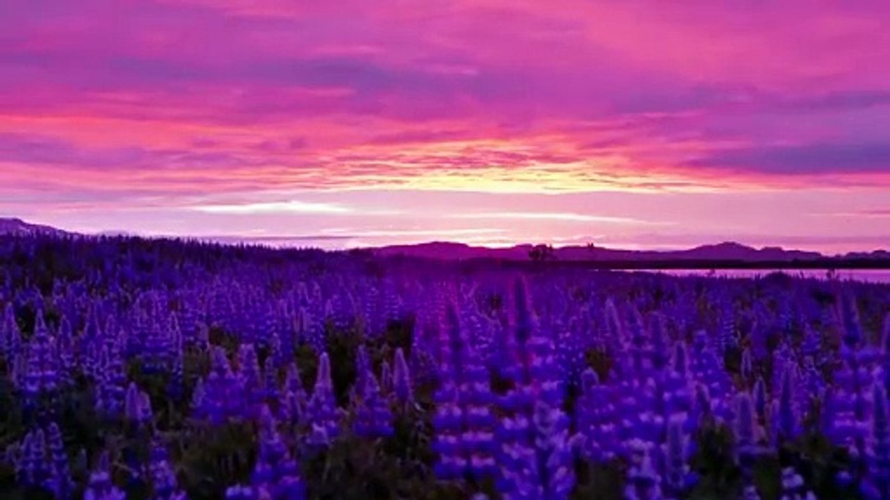 iceland