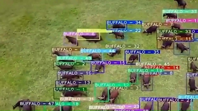 Intelligenza Artificiale 2