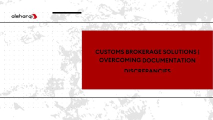 Overcoming Customs Brokerage Hurdles: How We Saved a Food Shipment