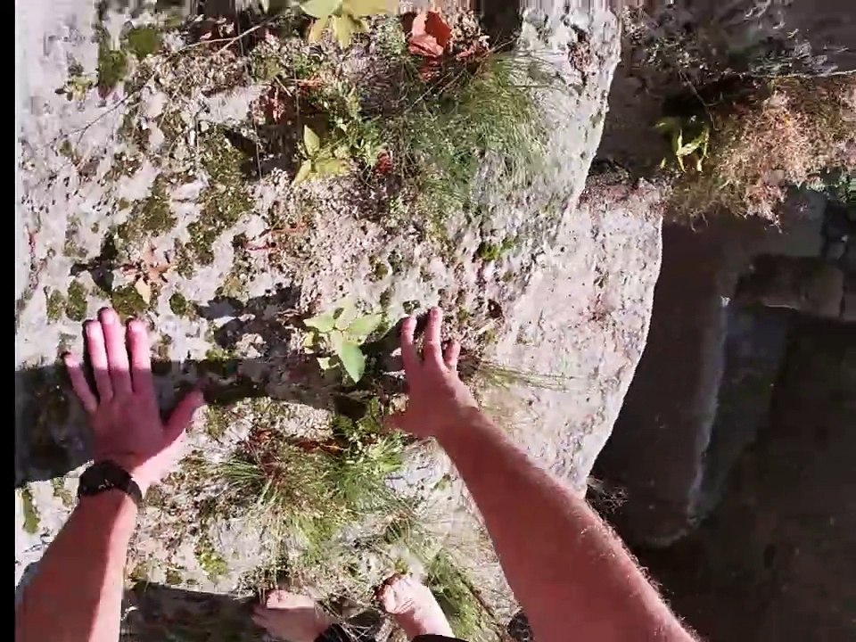 Ich sehne mich nach dir