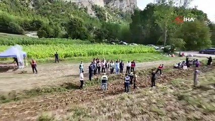 Kastamonulu vatandaş denemek için dikmişti... 2 ilçenin geçim kaynağı oldu