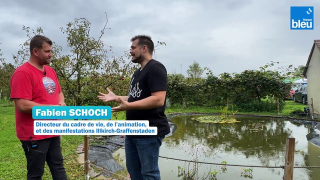 5/5 : comment détruire les œufs de moustique-tigre ?