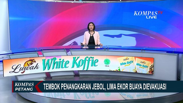 Warga Geger soal Tembok Penangkaran Jebol, 5 Buaya Sepanjang 3-5 Meter Kabur ke Sungai!