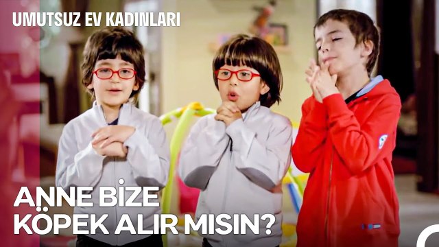 Mahallenin Haylazları #39; Çocukların Evcil Hayvan İsteği - Umutsuz Ev Kadınları