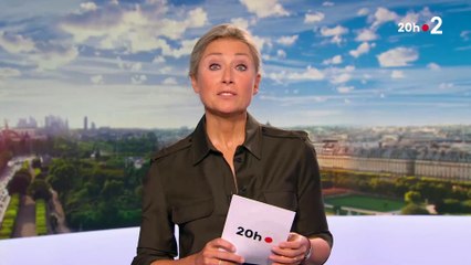 Anne-Sophie Lapix présente ses excuses en direct dans le 20h de France 2 après une erreur commise dans le journal : "Il s'agissait d'une parodie"