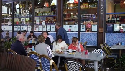 Discover the Power of Timeshark.ai with El Turco 🚀