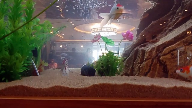 المغرب مكناس فاس طنجة Rabat Maroc morroco casa bla