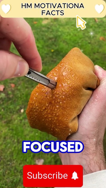 STAY FOCUSED and Achieve Your GOALS Faster