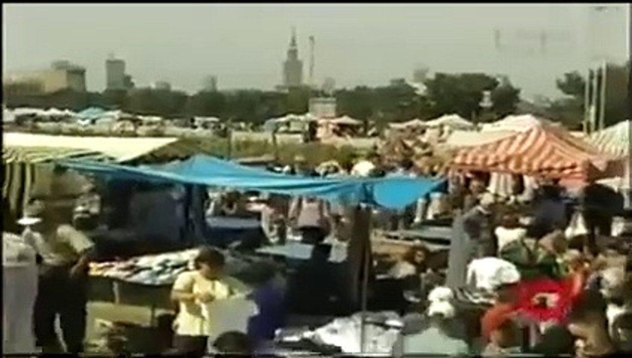 Prawdziwe Psy 10