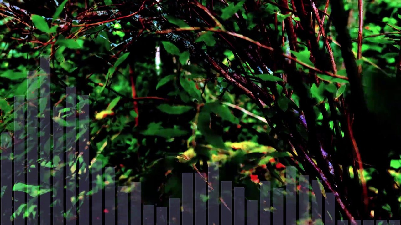 02 - AZ Cygni