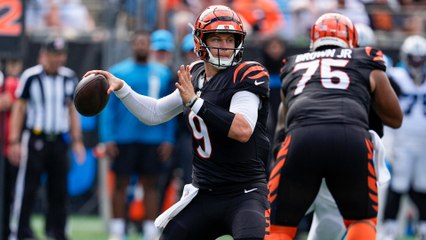 Bet365 Continues to See Rapid Growth in the United States