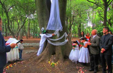 La increíble historia de un hombre que se va a casar con un árbol en el Parque del Retiro