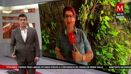 Instituciones educativas deciden suspender clases en Tuxpan por enfrentamientos