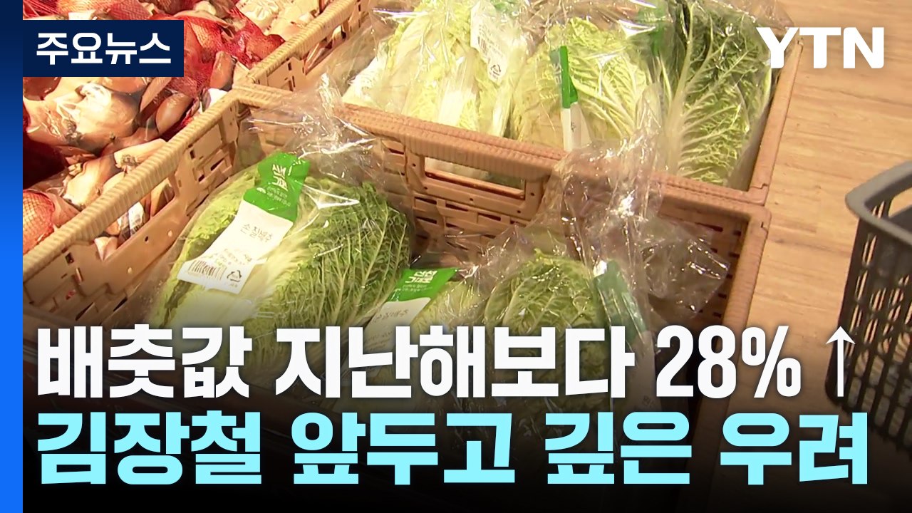 "3포기 구매 제한"...이달 중순까지 '배추 보릿고개' / YTN