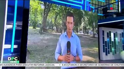 ¡La mujer que arrastró a un lomito podría obtener su libertad!