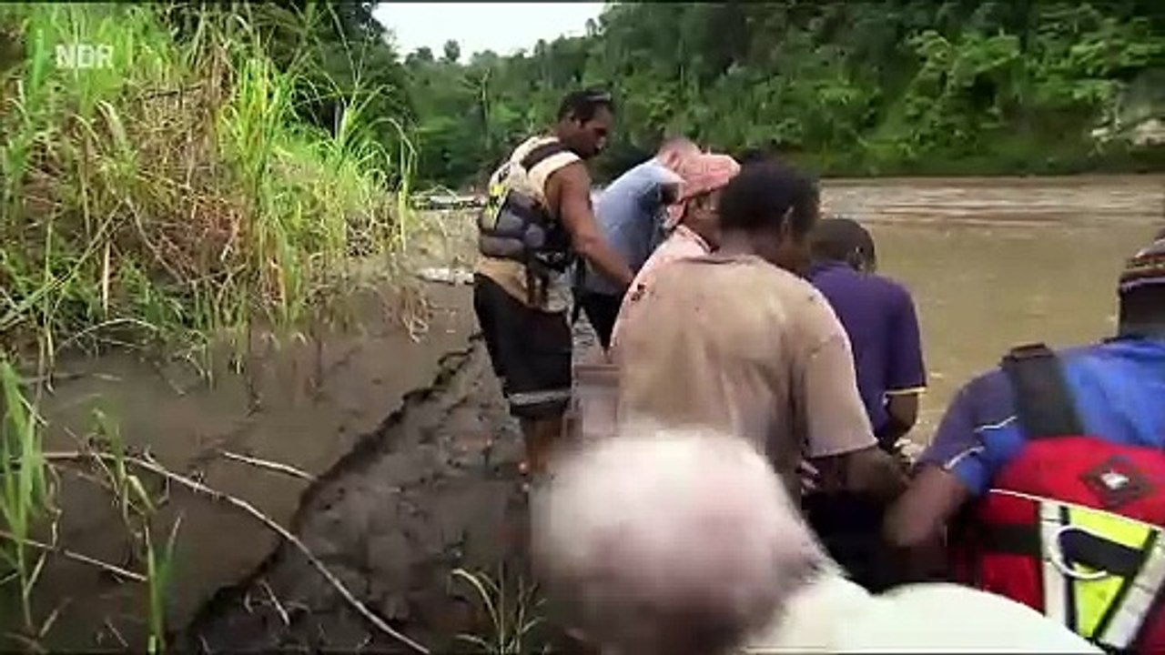 Expedition Neuguinea (3) - Baumkängurus und Thermometerhühner