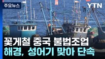 꽃게철 서해는 전쟁 중...다시 고개 드는 '연환계' / YTN