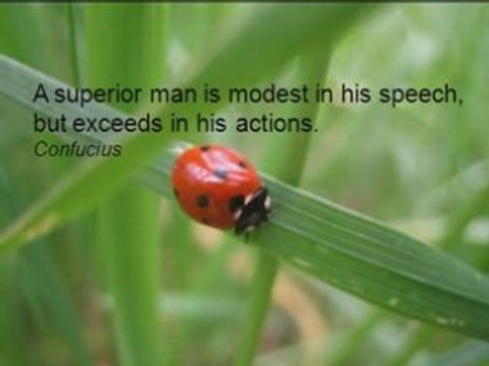 MOTIVATIONAL QUOTES