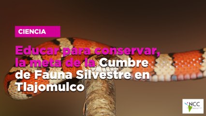 Educar para conservar, la meta de la Cumbre de Fauna Silvestre en Tlajomulco