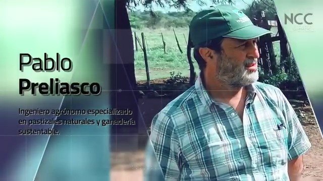 Reporte Climático 166 | ¿Son las vacas las causantes del cambio climático?