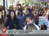 Caracas | Misión Nevado beneficia a caninos y felinos con jornada de esterilización